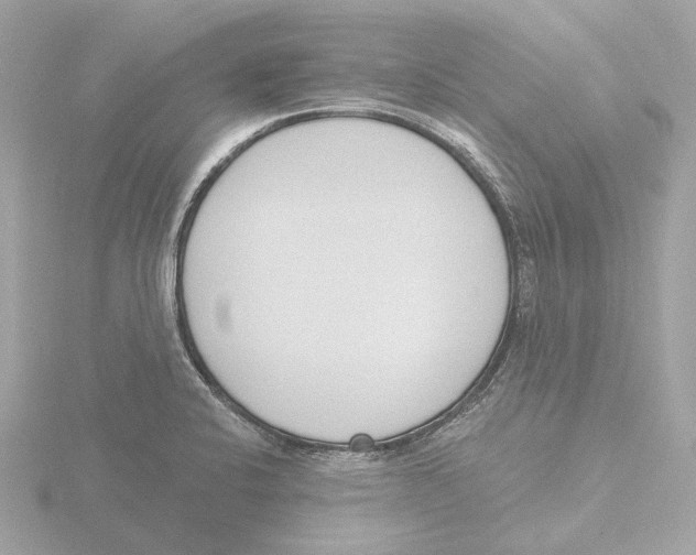 X0000116151424200912211500