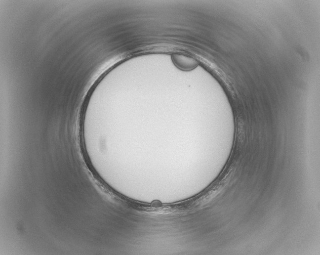 X0000116151426200912211500