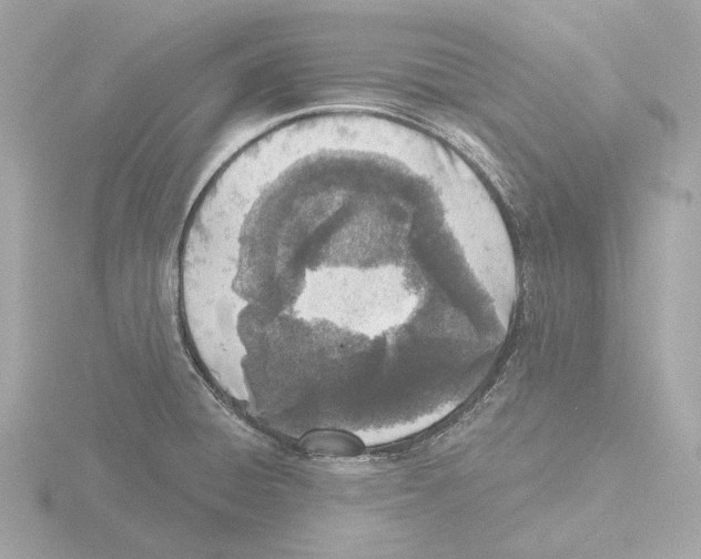 X0000116151428200912211500