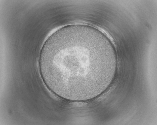 X0000116151429200912211500