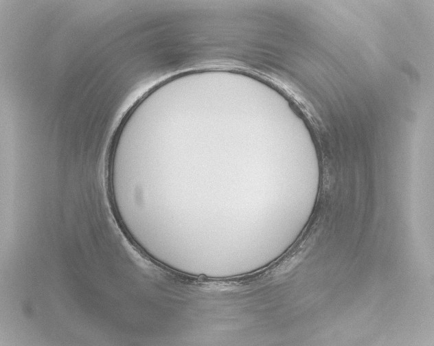 X0000116151430200912211500