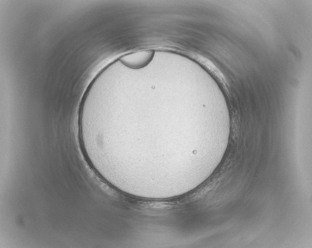 X0000116151431200912211500