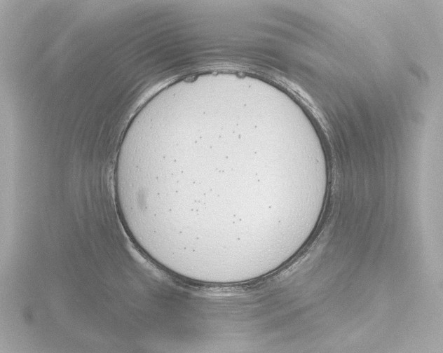 X0000116151433200912211500