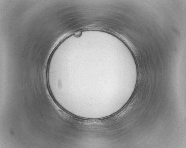 X0000116151434200912211500