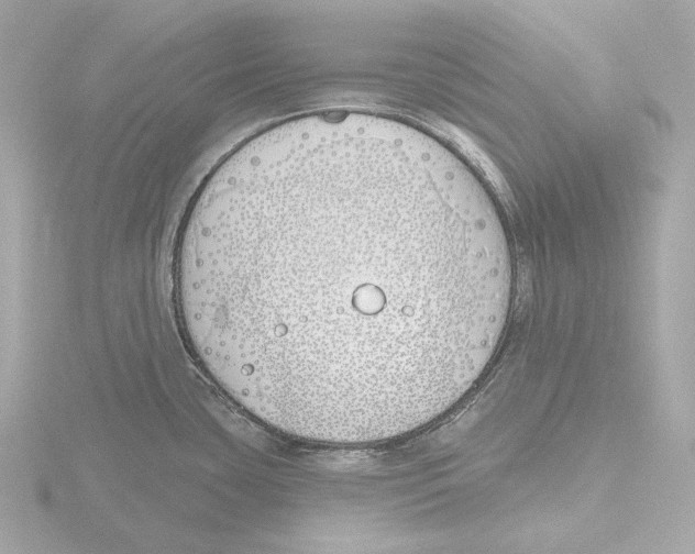 X0000116151435200912211500