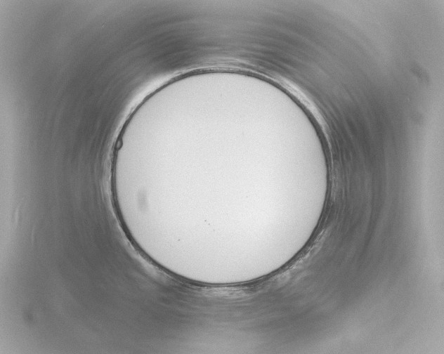 X0000116151437200912211500