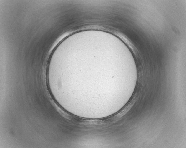 X0000116151438200912211500