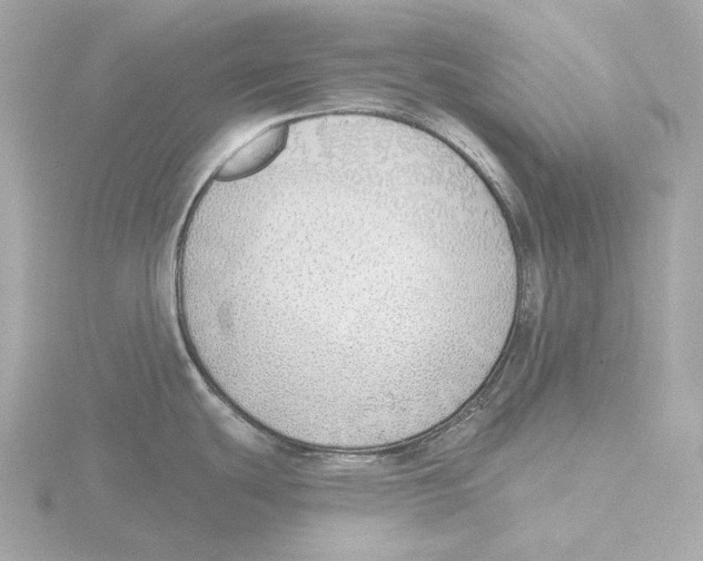 X0000116151439200912211500