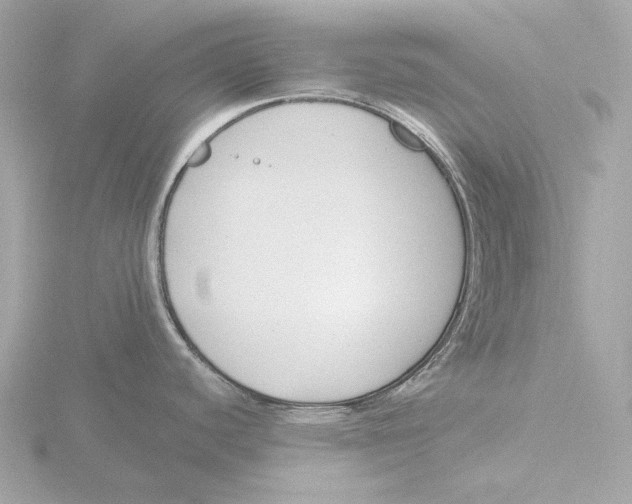 X0000116151440200912211500