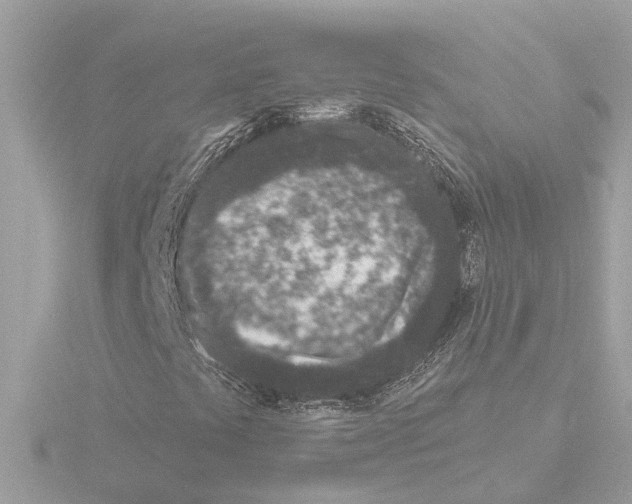 X0000116151441200912211459