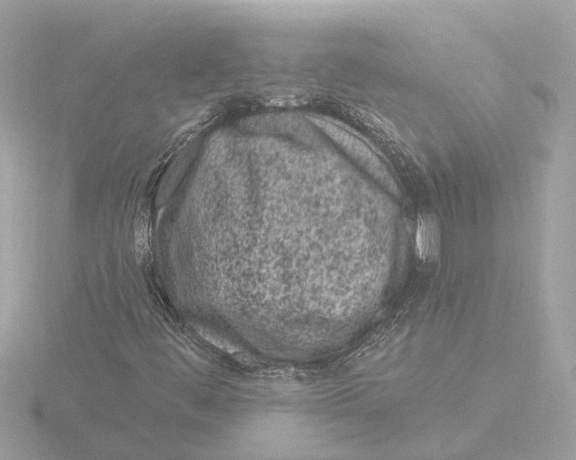 X0000116151444200912211459