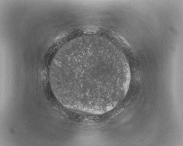 X0000116151445200912211459