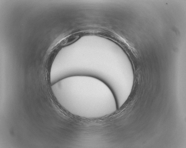 X0000116151448200912211459