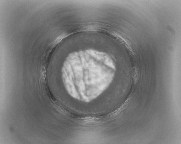 X0000116151449200912211459