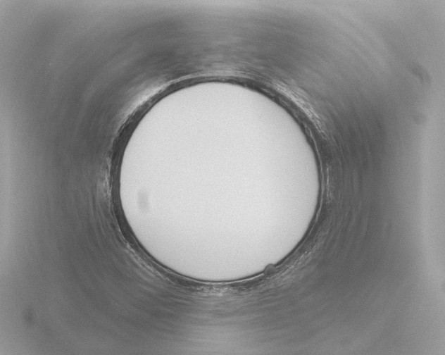 X0000116151452200912211459