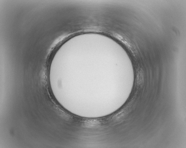 X0000116151454200912211459