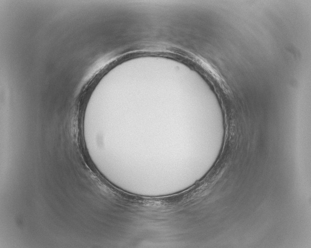 X0000116151456200912211459