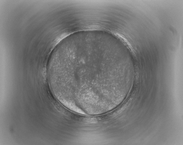 X0000116151457200912211459