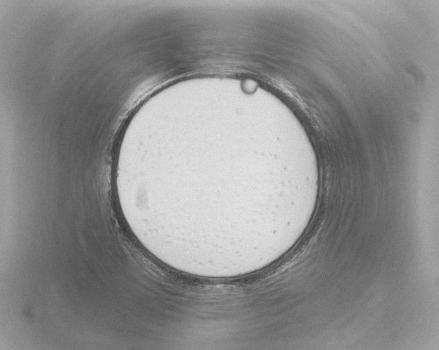 X0000116151459200912211459