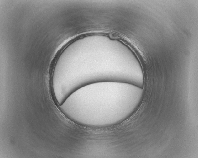 X0000116151460200912211459