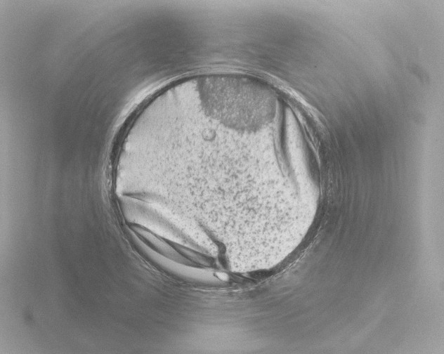 X0000116151461200912211459