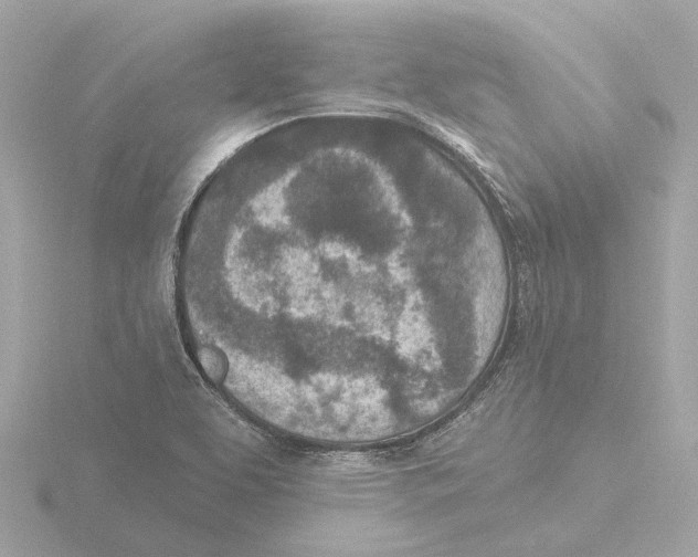 X0000116151463200912211459