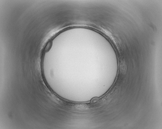 X0000116151464200912211459