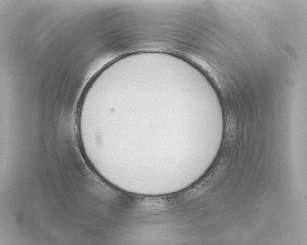 X0000116151466200912211459