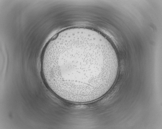 X0000116151467200912211459