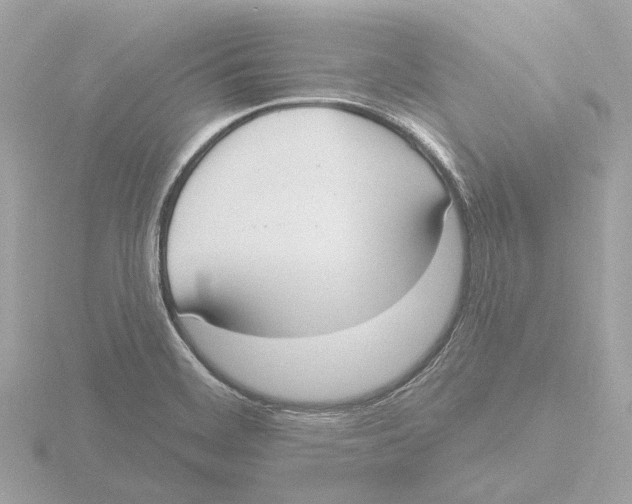 X0000116151468200912211459