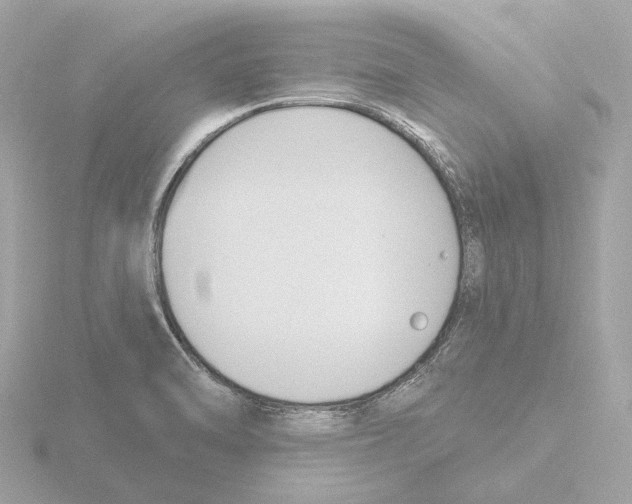 X0000116151470200912211459