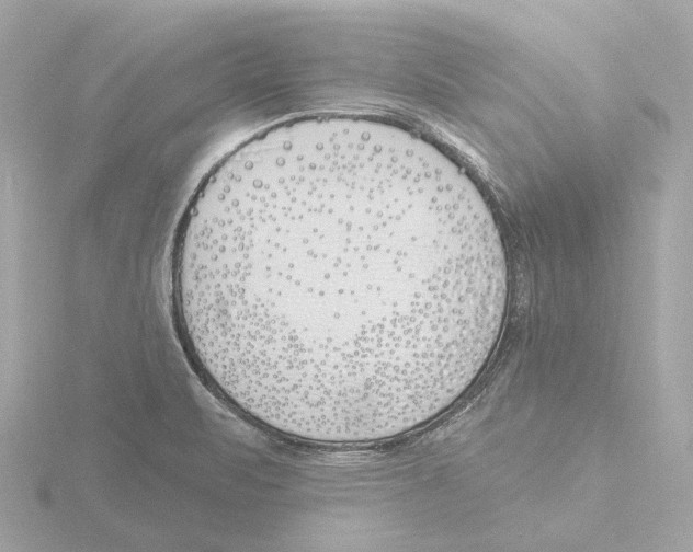 X0000116151471200912211459