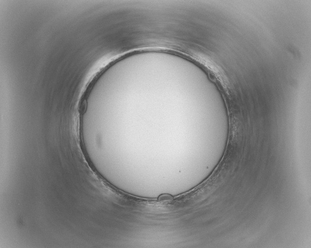 X0000116151472200912211459