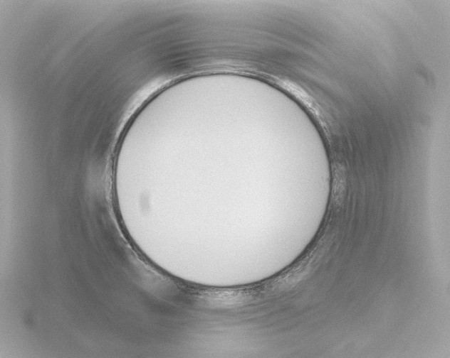 X0000116151474200912211459