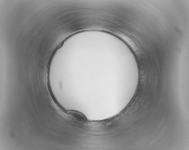 X0000116151476200912211459