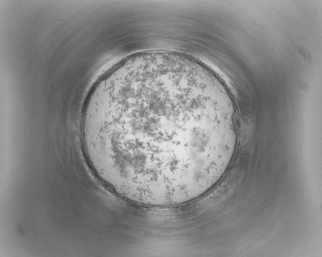 X0000116151477200912211459