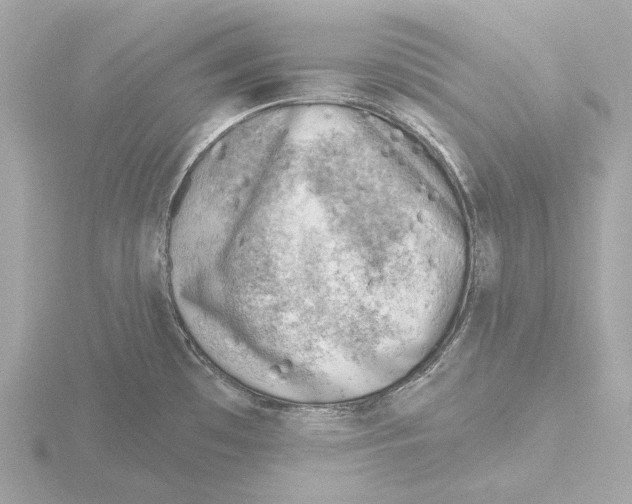 X0000116151481200912211459