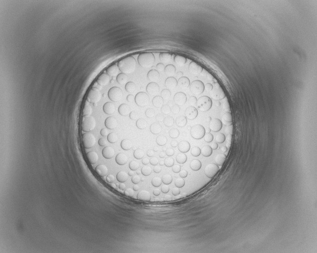 X0000116151483200912211459