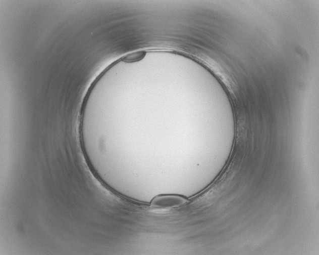 X0000116151484200912211459