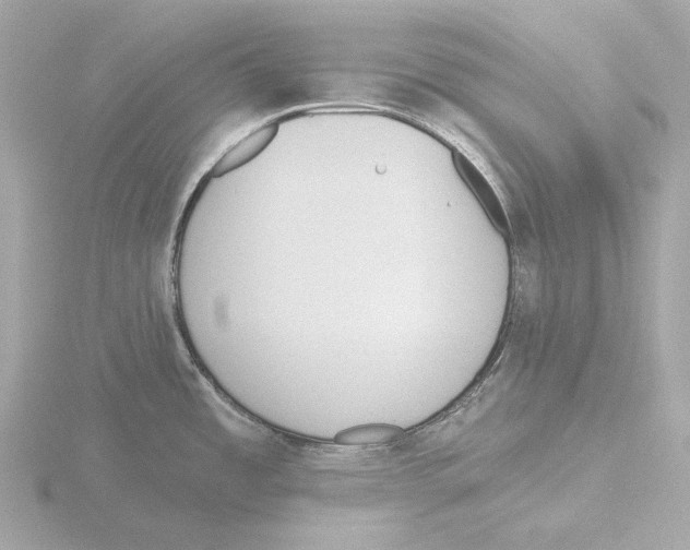 X0000116151485200912211459