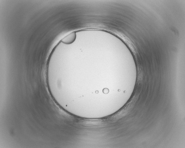 X0000116151486200912211459