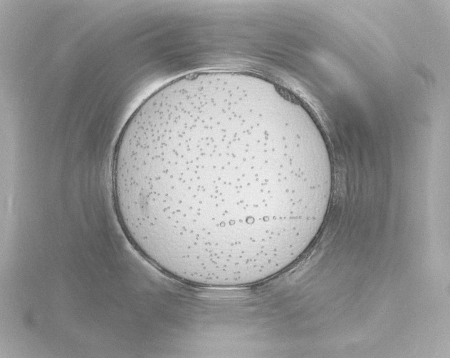 X0000116151487200912211459