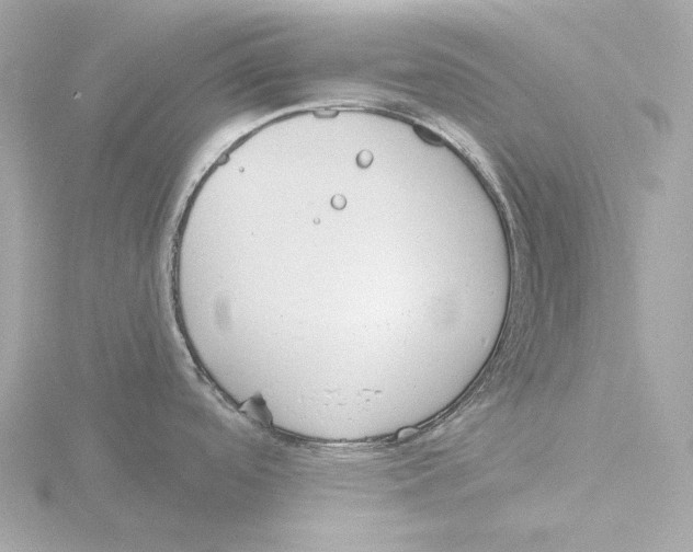 X0000116151488200912211459