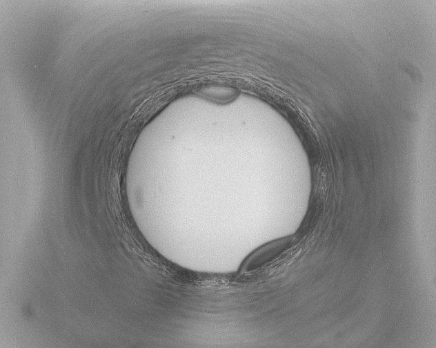 X0000116151489200912211458