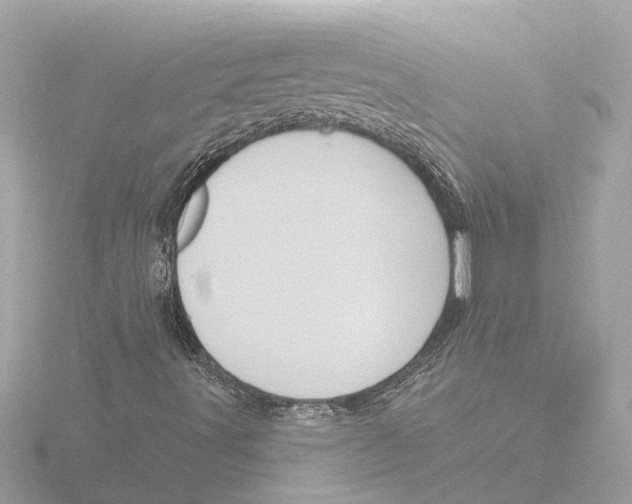 X0000116151491200912211458