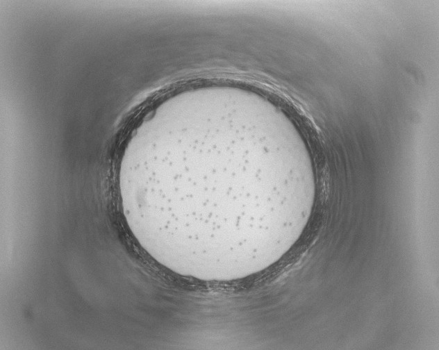 X0000116151494200912211458