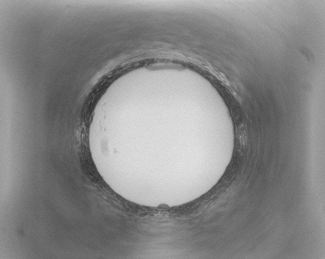 X0000116151495200912211458