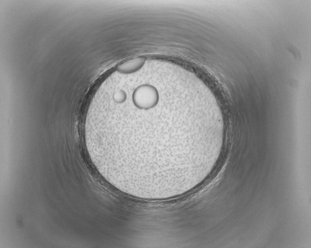 X0000116151497200912211458