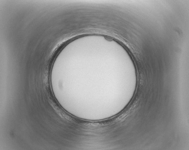 X0000116151499200912211458