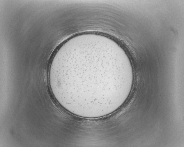 X0000116151505200912211458